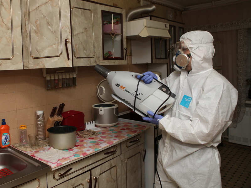 Дезинфекция от тараканов в квартире в Москве » Цены от службы СоС СЭС